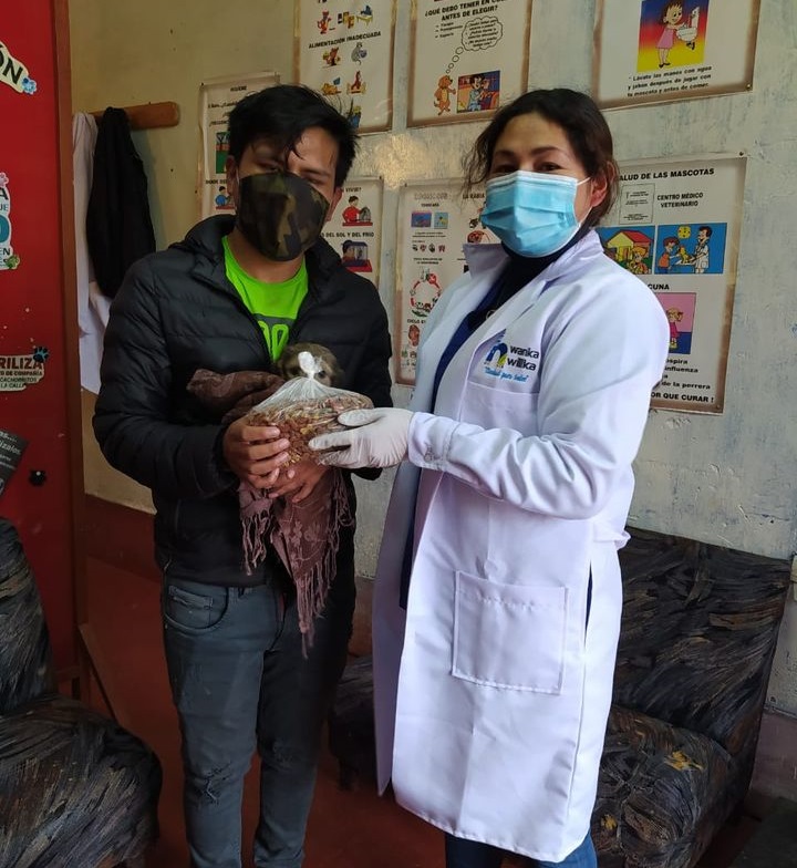 Veterinarias en Huancavelica, Perú: Encuentra la Mejor Atención para tus Mascotas 2 veterinaria